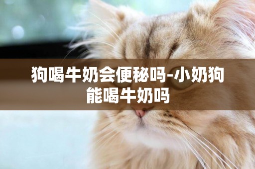 狗喝牛奶會便秘嗎-小奶狗能喝牛奶嗎