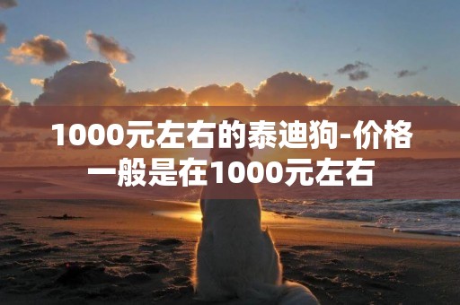 1000元左右的泰迪狗-價格一般是在1000元左右