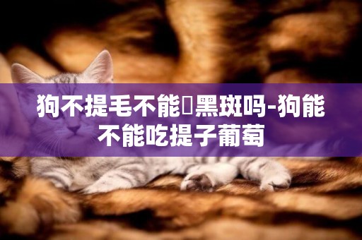 狗不提毛不能嗮黑斑嗎-狗能不能吃提子葡萄