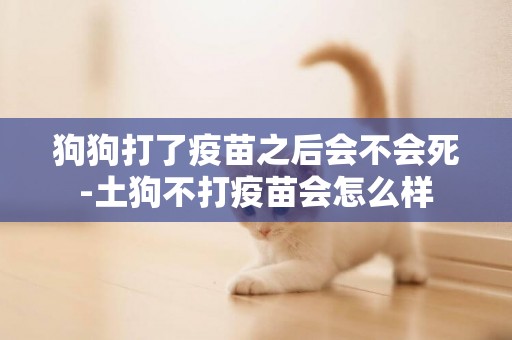 狗狗打了疫苗之后會不會死-土狗不打疫苗會怎么樣
