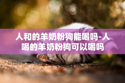 人和的羊奶粉狗能喝嗎-人喝的羊奶粉狗可以喝嗎