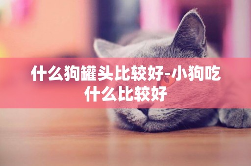 什么狗罐頭比較好-小狗吃什么比較好