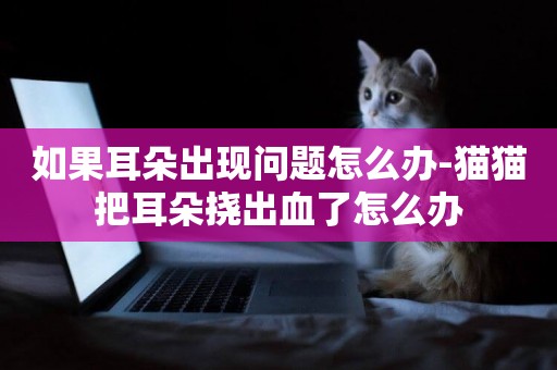 如果耳朵出現問題怎么辦-貓貓把耳朵撓出血了怎么辦