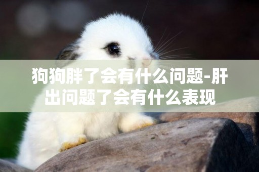 狗狗胖了會有什么問題-肝出問題了會有什么表現