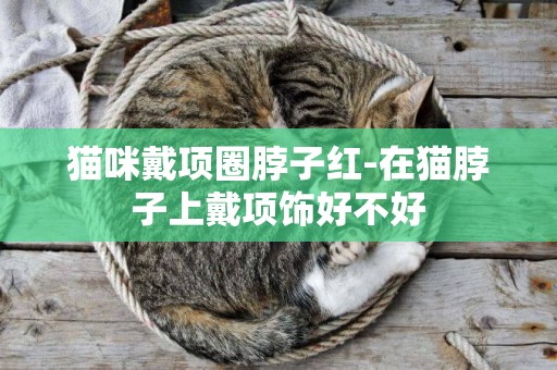 貓咪戴項圈脖子紅-在貓脖子上戴項飾好不好