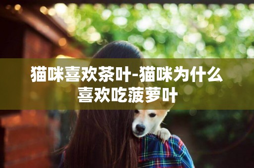貓咪喜歡茶葉-貓咪為什么喜歡吃菠蘿葉