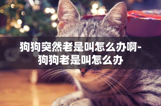 狗狗突然老是叫怎么辦啊-狗狗老是叫怎么辦