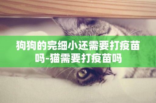 狗狗的完細小還需要打疫苗嗎-貓需要打疫苗嗎
