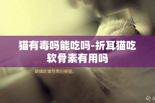 貓有毒嗎能吃嗎-折耳貓吃軟骨素有用嗎