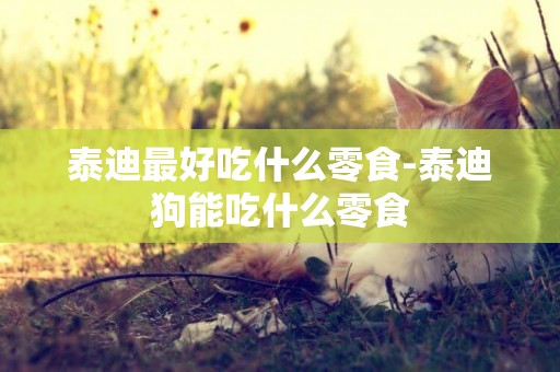 泰迪最好吃什么零食-泰迪狗能吃什么零食