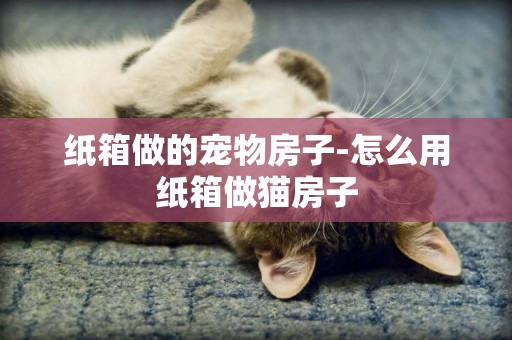 紙箱做的寵物房子-怎么用紙箱做貓房子