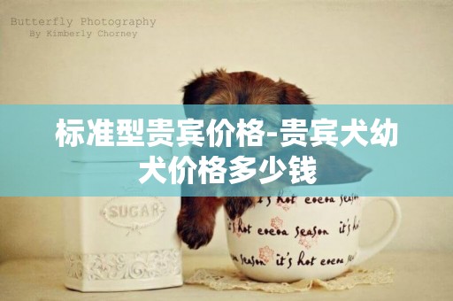 標準型貴賓價格-貴賓犬幼犬價格多少錢