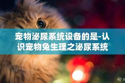 寵物泌尿系統設備的是-認識寵物兔生理之泌尿系統