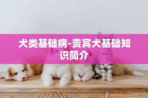 犬類基礎病-貴賓犬基礎知識簡介