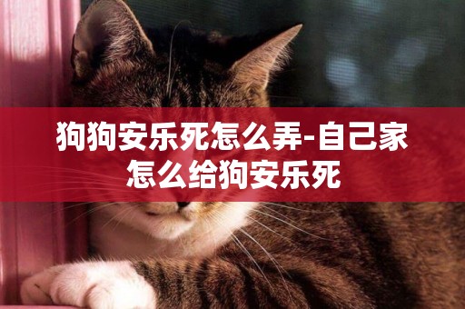狗狗安樂死怎么弄-自己家怎么給狗安樂死