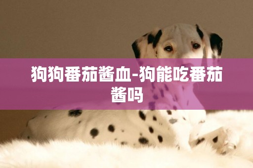 狗狗番茄醬血-狗能吃番茄醬嗎