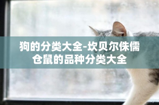 狗的分類大全-坎貝爾侏儒倉鼠的品種分類大全