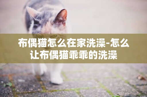 布偶貓怎么在家洗澡-怎么讓布偶貓乖乖的洗澡