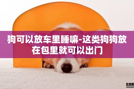 狗可以放車里睡嘛-這類狗狗放在包里就可以出門