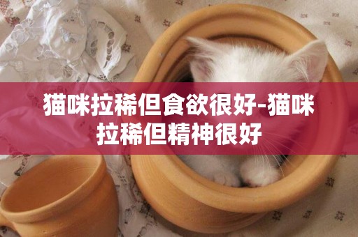 貓咪拉稀但食欲很好-貓咪拉稀但精神很好
