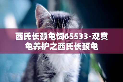 西氏長頸龜飼65533-觀賞龜養護之西氏長頸龜