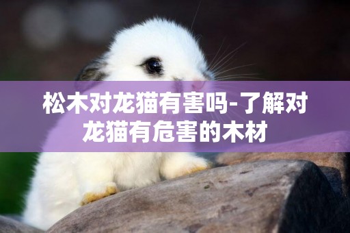 松木對龍貓有害嗎-了解對龍貓有危害的木材