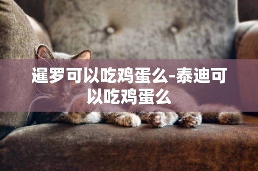 暹羅可以吃雞蛋么-泰迪可以吃雞蛋么