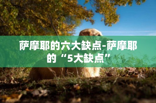 薩摩耶的六大缺點-薩摩耶的“5大缺點”