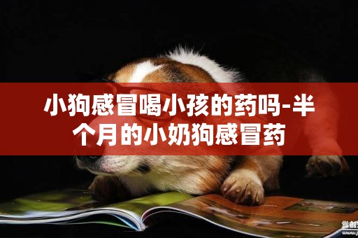 小狗感冒喝小孩的藥嗎-半個月的小奶狗感冒藥