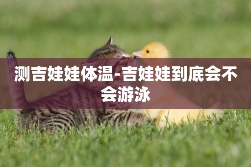 測吉娃娃體溫-吉娃娃到底會不會游泳