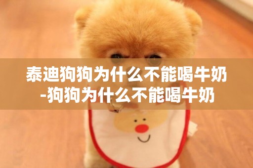泰迪狗狗為什么不能喝牛奶-狗狗為什么不能喝牛奶