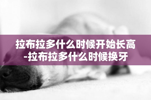拉布拉多什么時候開始長高-拉布拉多什么時候換牙