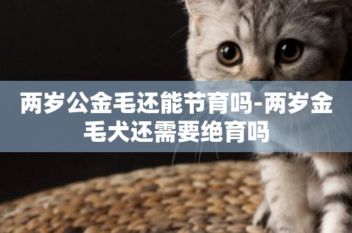 兩歲公金毛還能節育嗎-兩歲金毛犬還需要絕育嗎