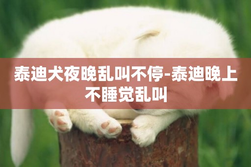 泰迪犬夜晚亂叫不停-泰迪晚上不睡覺亂叫