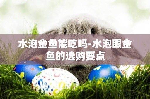 水泡金魚能吃嗎-水泡眼金魚的選購要點