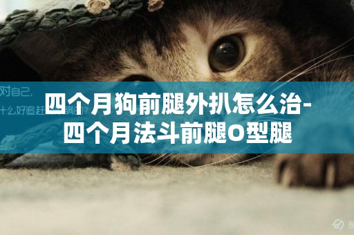 四個月狗前腿外扒怎么治-四個月法斗前腿O型腿