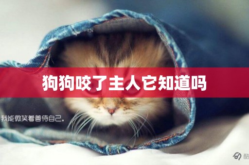 狗狗咬了主人它知道嗎