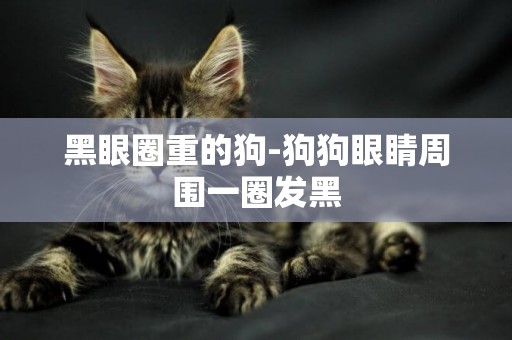 黑眼圈重的狗-狗狗眼睛周圍一圈發黑