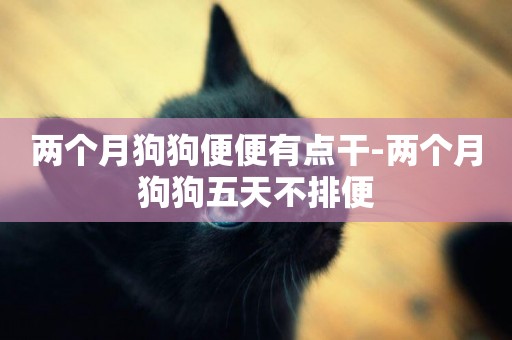 兩個月狗狗便便有點干-兩個月狗狗五天不排便