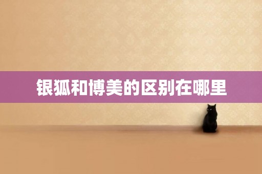 銀狐和博美的區別在哪里