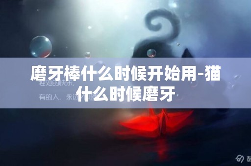 磨牙棒什么時候開始用-貓什么時候磨牙