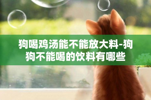 狗喝雞湯能不能放大料-狗狗不能喝的飲料有哪些