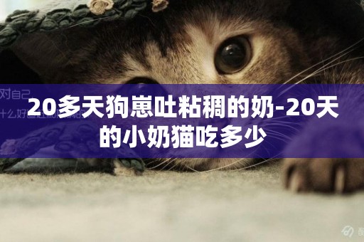 20多天狗崽吐粘稠的奶-20天的小奶貓吃多少