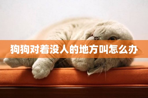 狗狗對著沒人的地方叫怎么辦