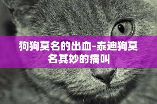 狗狗莫名的出血-泰迪狗莫名其妙的痛叫