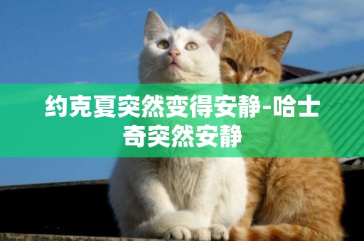 約克夏突然變得安靜-哈士奇突然安靜