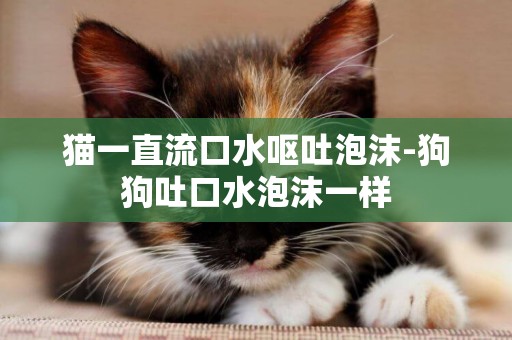 貓一直流口水嘔吐泡沫-狗狗吐口水泡沫一樣