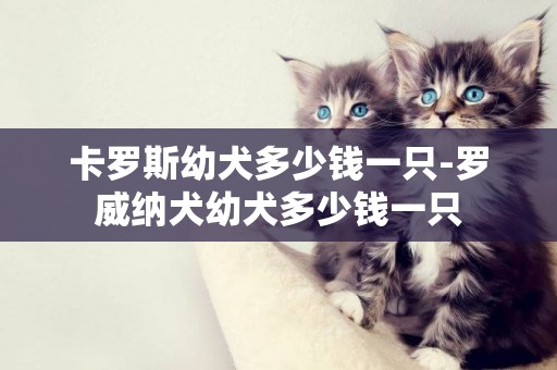 卡羅斯幼犬多少錢一只-羅威納犬幼犬多少錢一只