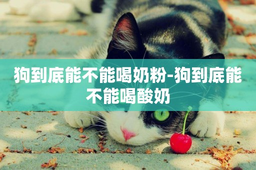 狗到底能不能喝奶粉-狗到底能不能喝酸奶