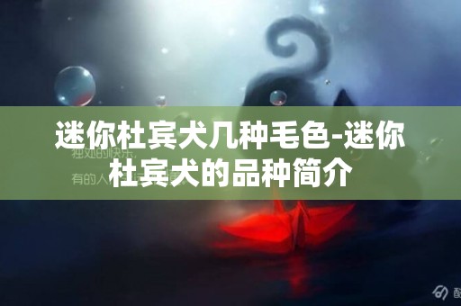 迷你杜賓犬幾種毛色-迷你杜賓犬的品種簡介